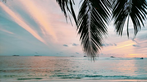 Actvité ado : découvrez le camp d'été ulysseo à doucy-valmorel
