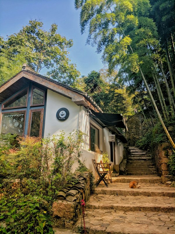 Quelles sont les meilleures options pour un séjour en maison d'hôtes dans le Luberon, France?